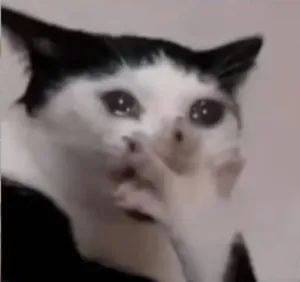 Aaahh!